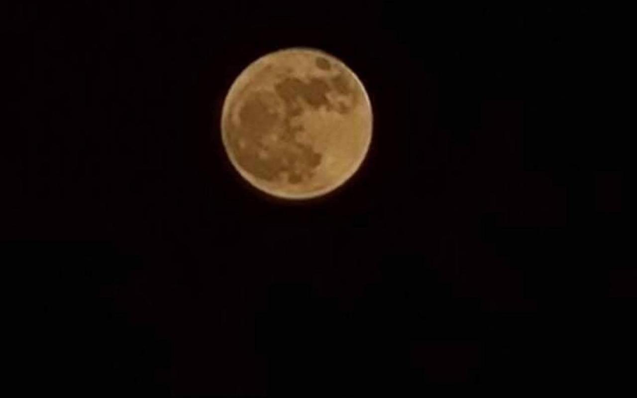 Moon - With Swimming Pool And Bbq Terrace In Center Hrg Appartement